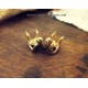 Roman dice