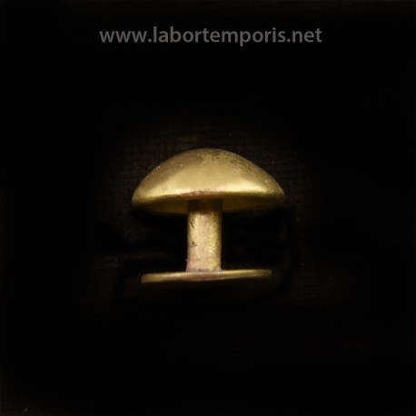 Fibbia romana