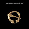 Fibula Penannulare