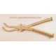pinza chirurgica romana